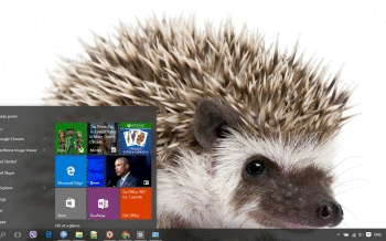 Hedgehog screenshot