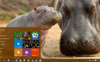 Hippo screenshot
