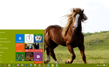 Horse screenshot