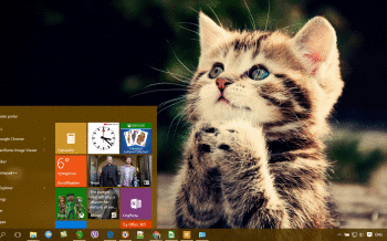 Kitten screenshot