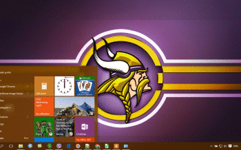 Minnesota Vikings screenshot