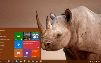 Rhino screenshot
