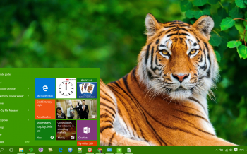 Tiger Theme for Windows 10