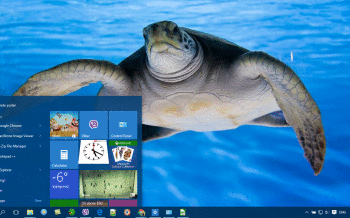 Turtle screenshot