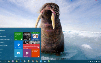 Walrus screenshot
