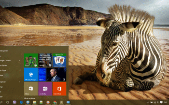 Zebra screenshot