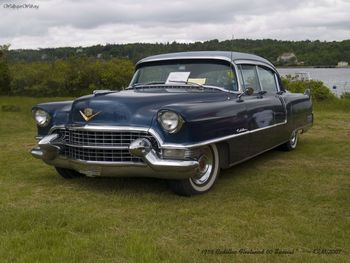 1955 Cadillac Heetwood 60 Special screenshot