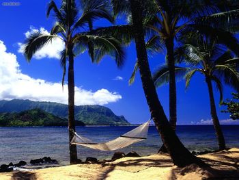 Afternoon Nap Kauai Hawaii screenshot