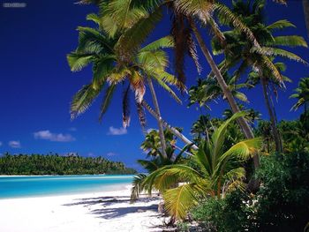 Aitutaki Lagoon Cook Islands screenshot
