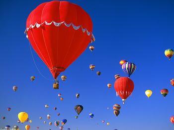 Albuquerque International Balloon Fiesta screenshot