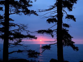 Atlantic Sunrise, Acadia National Park, Maine screenshot