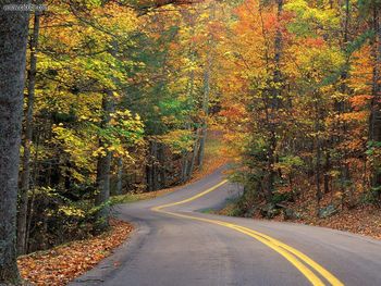 Autumn Colors Road screenshot