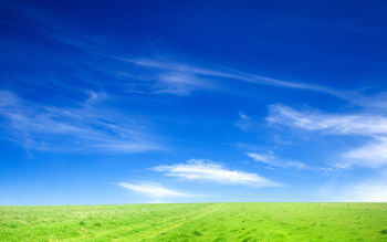 Blue Sky and Green Grass screenshot