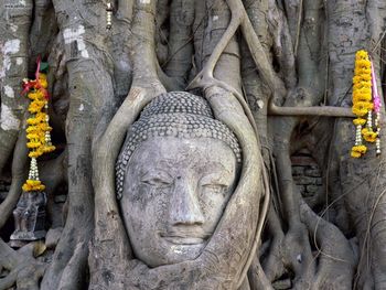 Buddha Face, Wat Mahathat, Ayutthaya, Thailand screenshot