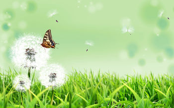 Butterfly Nature screenshot