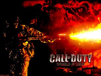 Call Of Duty World At War screenshot