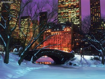 Central Park In Winter, New York City screenshot