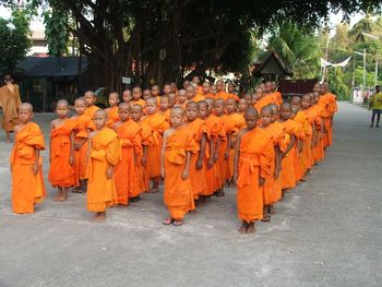 Child Monk Group screenshot