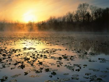 Cuyahoga Valley National Recreation Area At Sunrise, Ohio screenshot