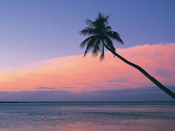 Fiji Sunset screenshot