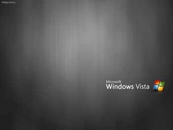 Flat Black With Vista Logo screenshot
