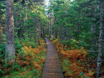 Fundy National Park New Brunswick screenshot
