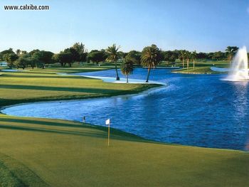 Golf Courses Doral Golf Resort 18th Hole screenshot