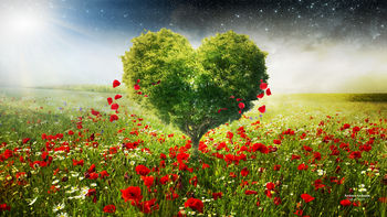 Green Love Heart Tree Poppies screenshot