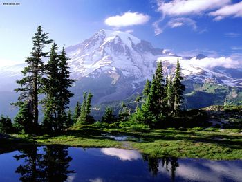 Hidden Lake In Mount Rainier National Park Washington screenshot
