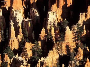 Hoodoos In Bryce Canyon National Park Utah screenshot
