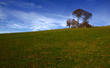 Indian tree hill screenshot