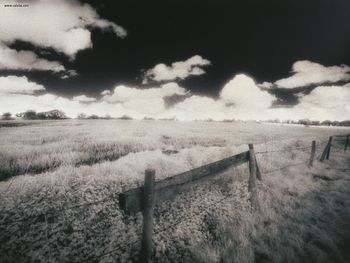 Infrared Field Cheshire United Kingdom screenshot