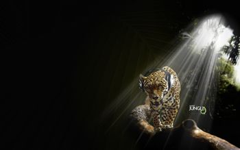 Jaguar in Audio Jungle screenshot