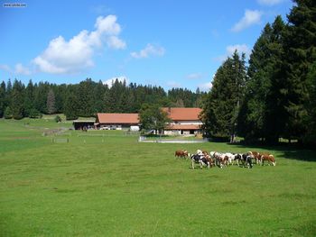 Jura Farm screenshot
