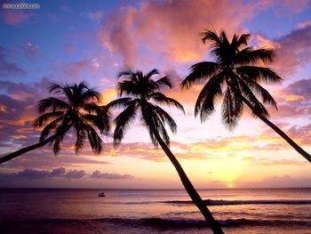 Kings Beach West Coast Barbados West Indies screenshot
