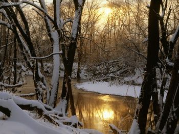 Lake Snow Mountain Harpeth River Winter Sunrise Williamson County Tennessee screenshot