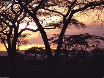 Landscapes Daybreak In Tanzania screenshot