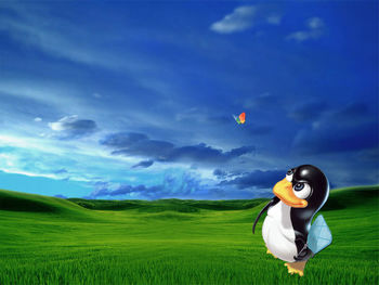 Linux Hunting Windows screenshot
