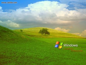 Longhorn Windows screenshot