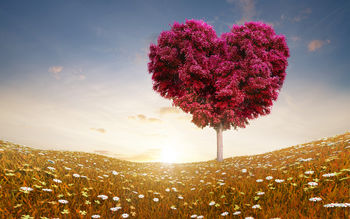 Love Heart Tree Fields screenshot