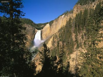 Lower Yellowstone Falls Yellowstone National Park Wyoming screenshot