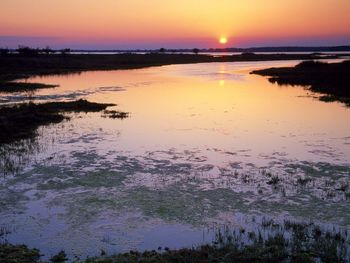 Marshlands Sunset, Assateague Island, Maryland screenshot