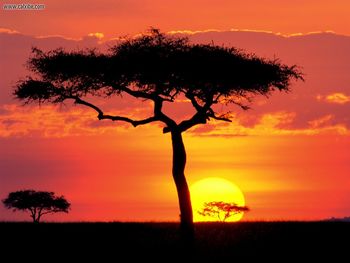 Masai Mara Game Reserve At Sunset Kenya screenshot