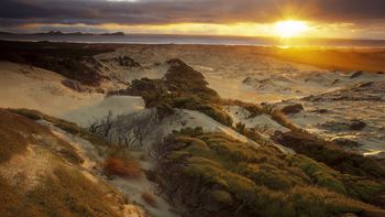 Mason Bay Beach At Sunset, Rakiura National Park, Stewart Island, New Zealand screenshot
