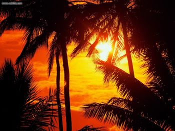 Maui Sunset screenshot