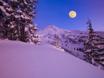Moon Over Mount Hood At Dawn, Oregon screenshot