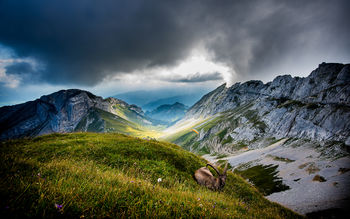Mount Pilatus Switzerland screenshot