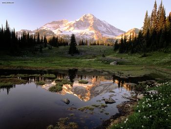 Mount Rainier Reflections Washington screenshot