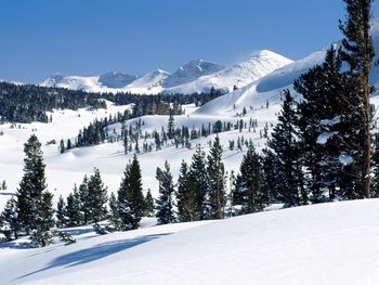 Mountain Ski Country screenshot