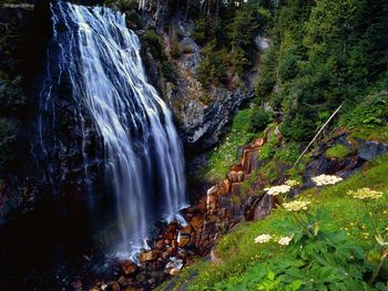 Narada Falls, Mount Rainier National Forest, Washington screenshot